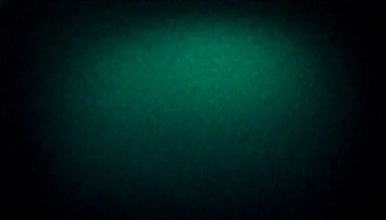 CBD et SSPT : impact du cannabidiol sur le système endocannabinoïde