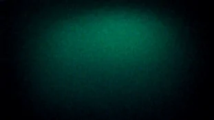 CBD et SSPT : impact du cannabidiol sur le système endocannabinoïde