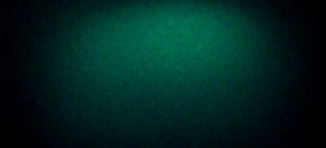 CBD et SSPT : impact du cannabidiol sur le système endocannabinoïde